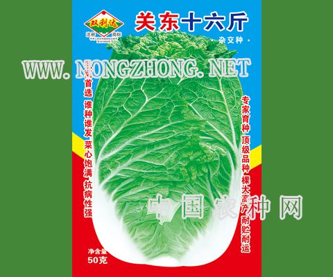 关东十六斤